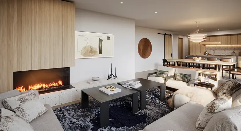 Living room with a contemporary fireplace and wood details